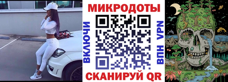 закладки Вытегра Галлюциногенные грибы Psilocybine cubensis